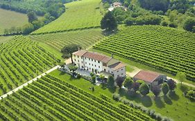 Terre Boscaratto